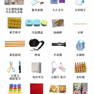 Bayley貝利嬰幼兒發展量表BSID工具箱包